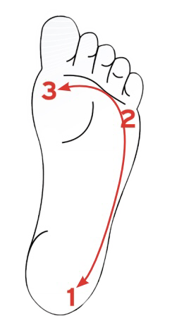 Strengthening the Arches of Your Feet - Core Exercise Solutions