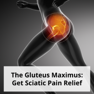 The Gluteus Maximus Get Sciatic Pain Relief