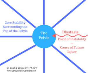 Pelvis (1)