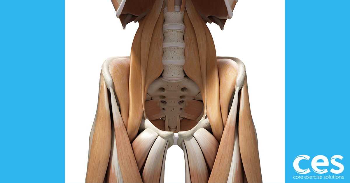How do you know if your hip flexors are tight? - Core Exercise