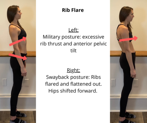 What Is Rib Flare Core Exercise Solutions