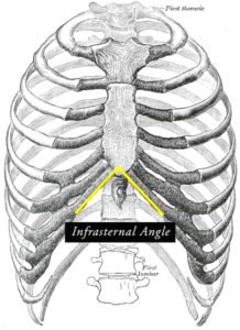 what is rib flare