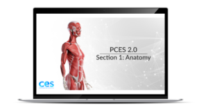 PCES Section 1 Anatomy