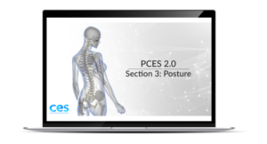 PCES Posture Section