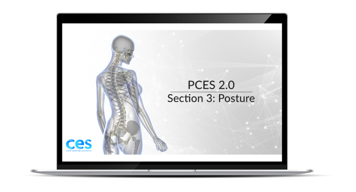 PCES Posture Section