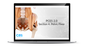 PCES Pelvic Floor Section