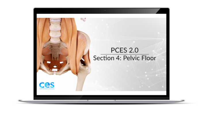 PCES Pelvic Floor Section