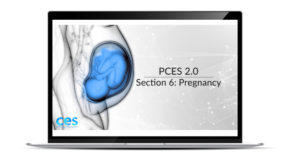 PCES Pregnancy Section
