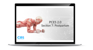 PCES Postpartum Section