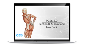 PCES SI Joint and Low Back