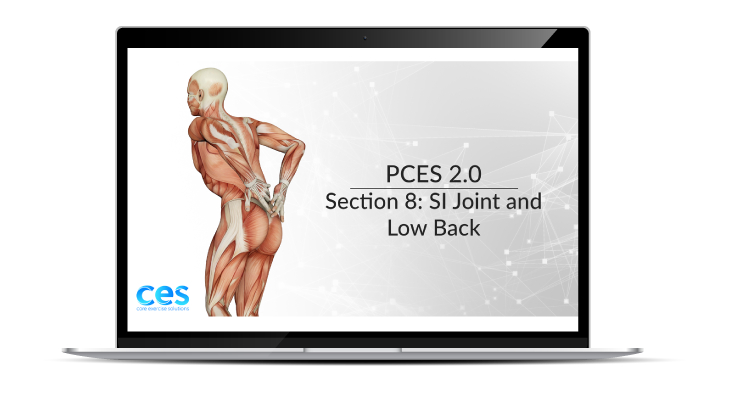 PCES SI Joint and Low Back