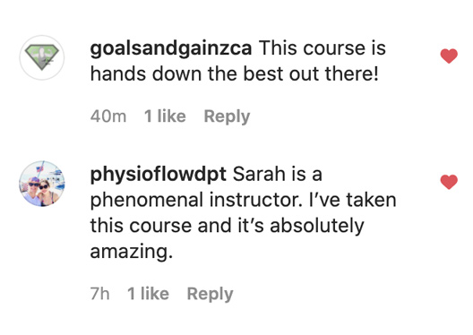 goalzandgainzca & physioflowdt PCES Testimonials