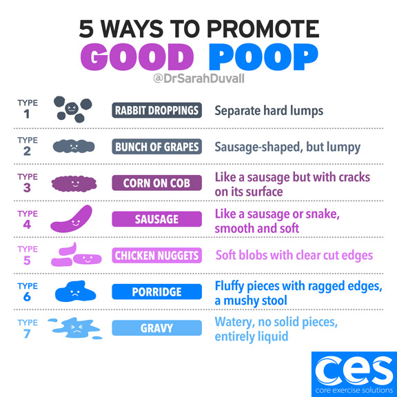 good-poop-infographic