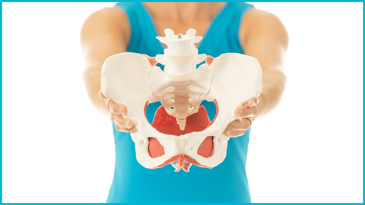Your Pelvic Floor Quiz Core Exercise Solutions