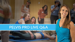 Pelvis Pro Q&A