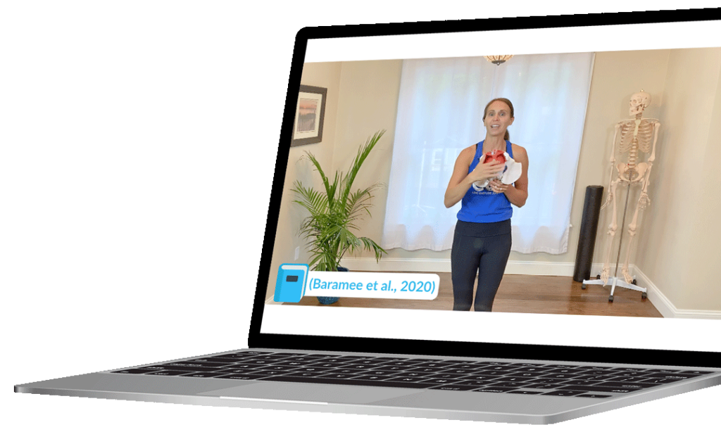 Pelvic Floor And Diastasis Recti Essentials Core Exercise Solutions Pelvic floor and diastasis recti essentials core exercise solutions