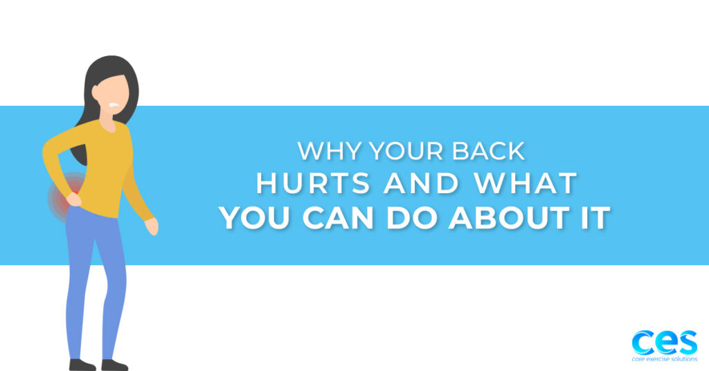 WHY YOUR BACK HURTS ARTICLE