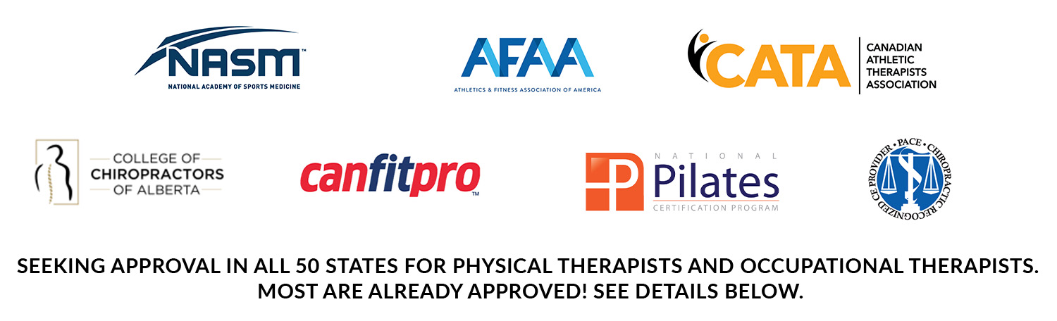 CEU Logos Pelvis pro 2